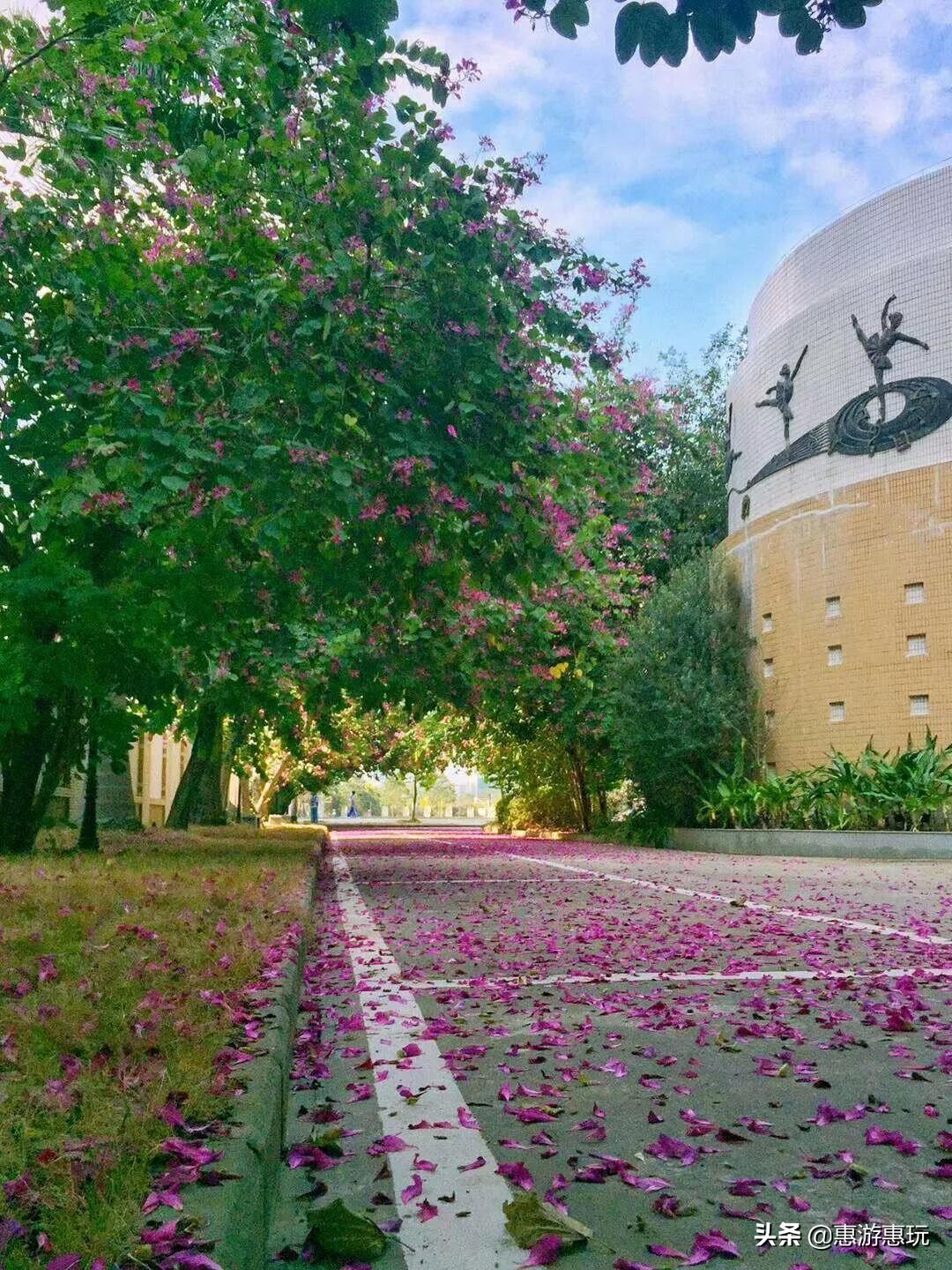 惠州十大最美校园强势来袭，你的母校上榜了吗？