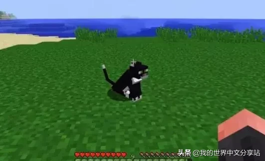 《我的世界》1.14更新后如何驯服豹猫？