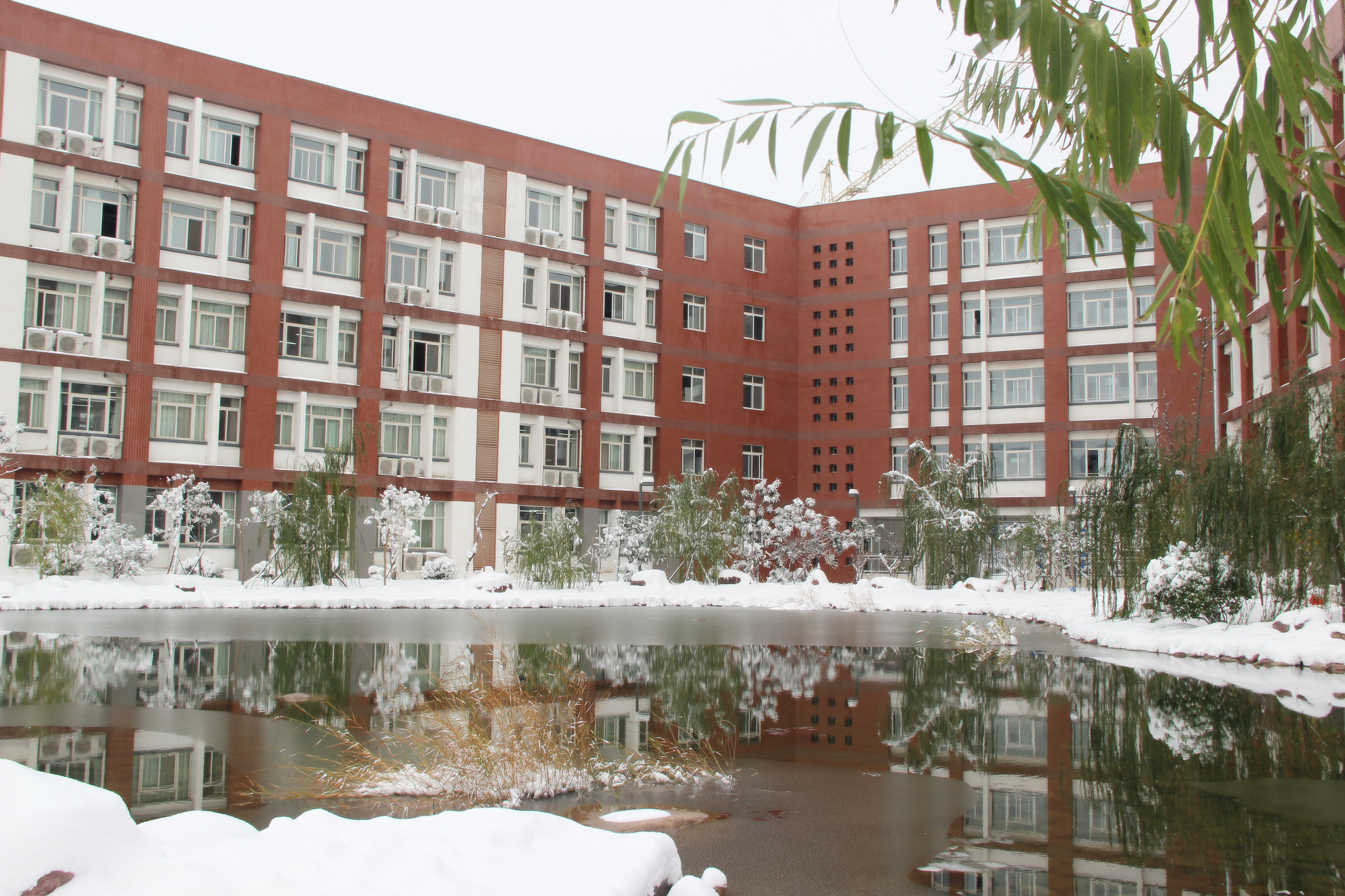 郑州民办初中全视角——璀璨的明珠：枫杨外国语学校