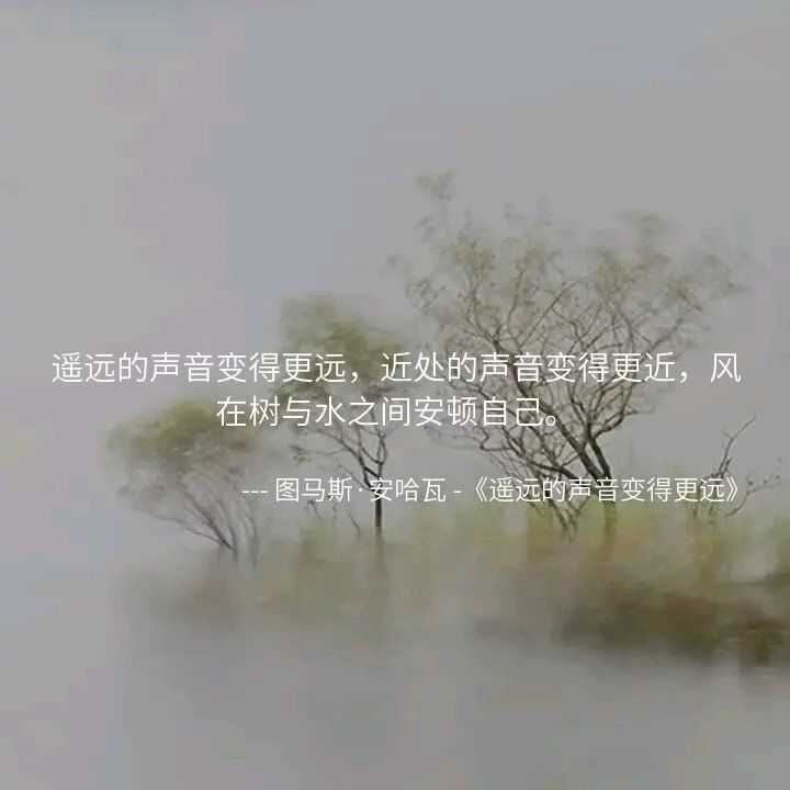 14个冷艳的小句子：回忆是涂满剧毒的利刃，专刺多愁善感的人