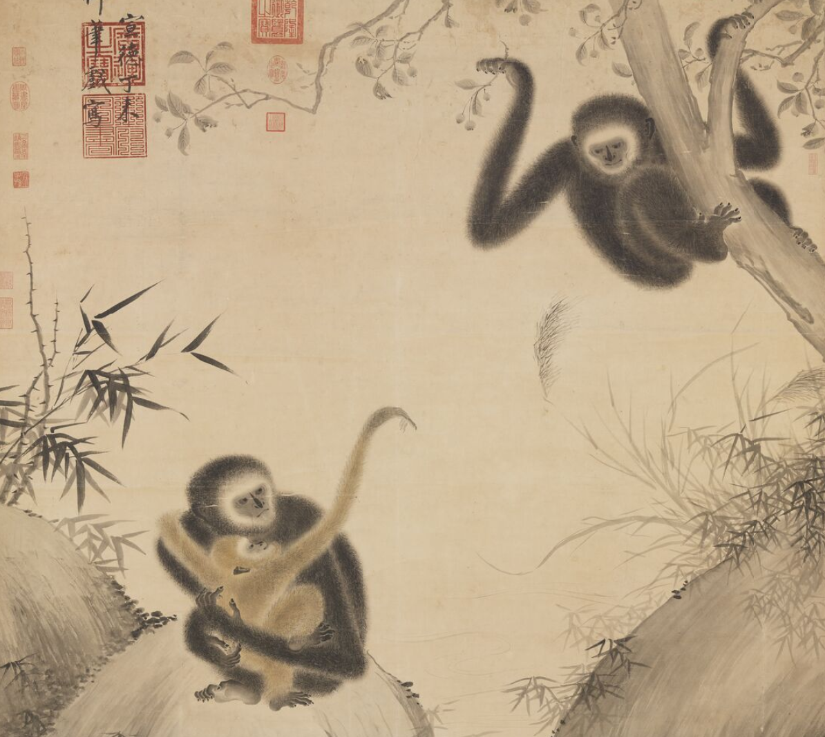 把老鼠和荔枝放在一起(把老鼠和荔枝放在一起吃)