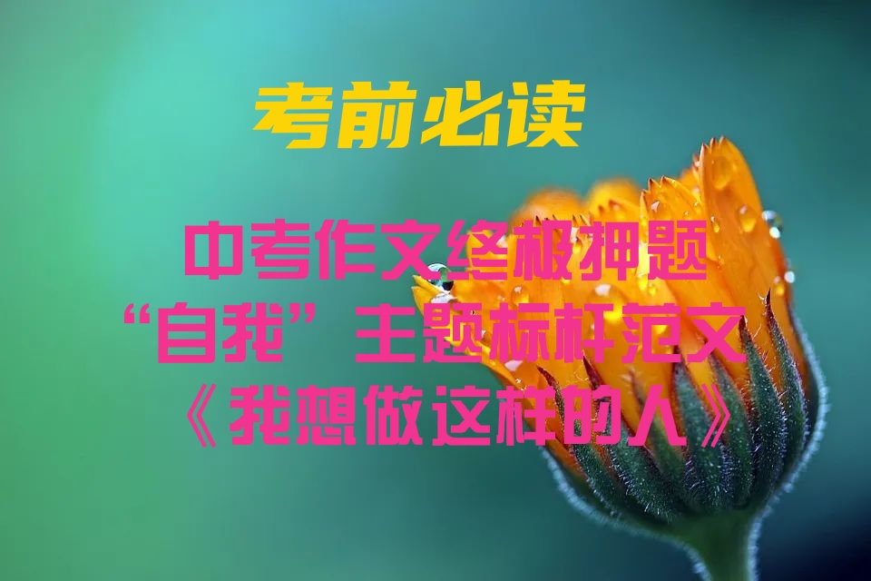 最新中考作文押题“自我”主题标杆范文《我想做这样的人》