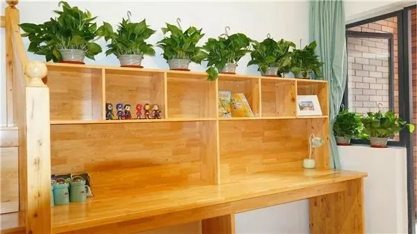 城北高端私立学校！新川vs巴德，选哪所更明智？