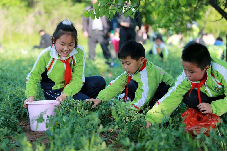 2021中小学暑假时间安排出炉，学生兴奋不已，家长却进退两难