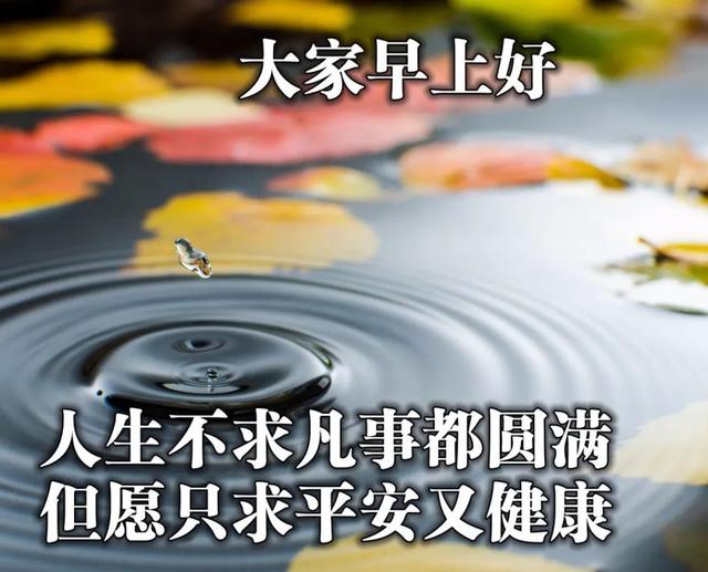 清晨和你一起共勉的早安句子，抖音很火带字带问候的早安美图