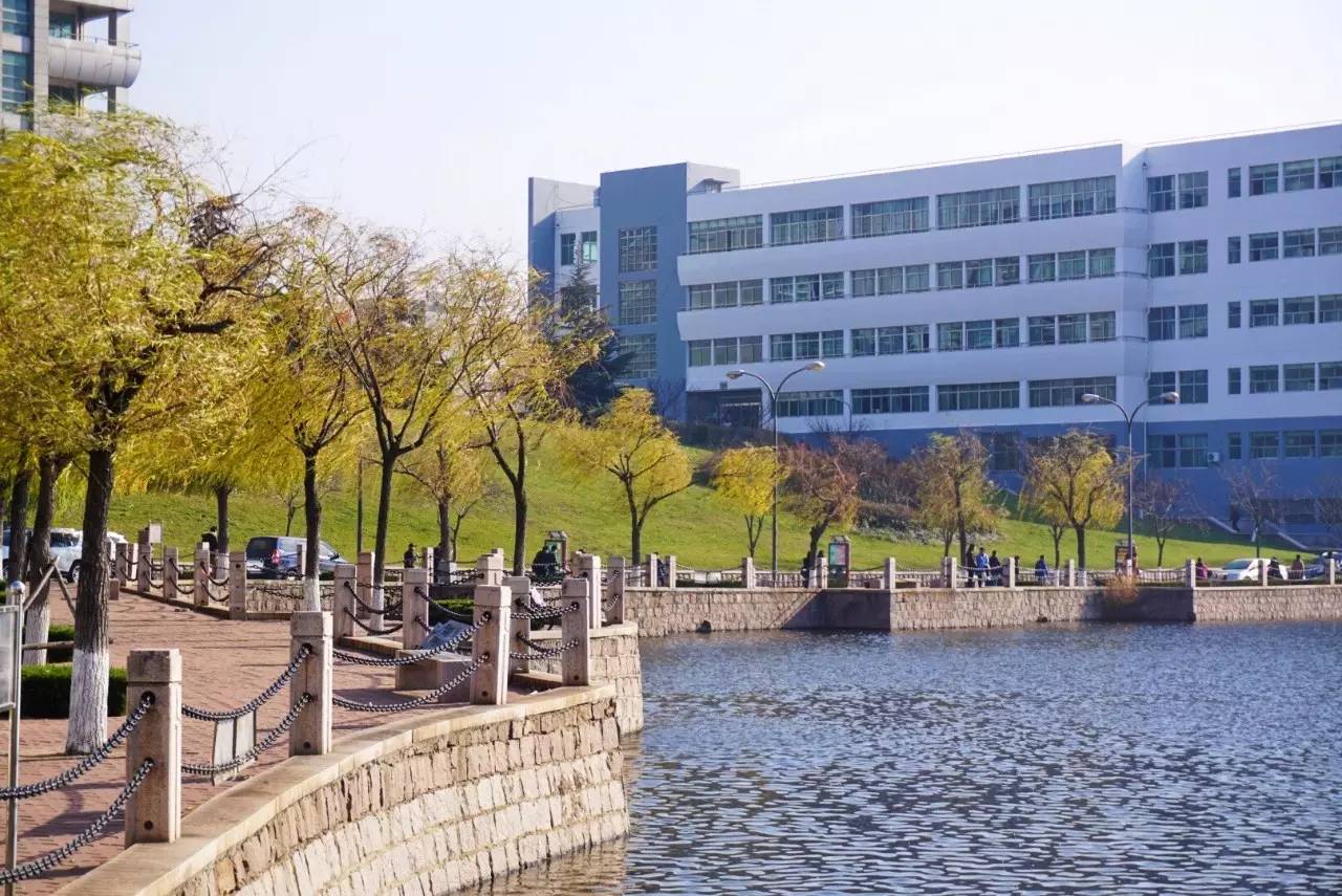 建设两所新大学，入围特大型城市，青岛高等教育还缺一样东西