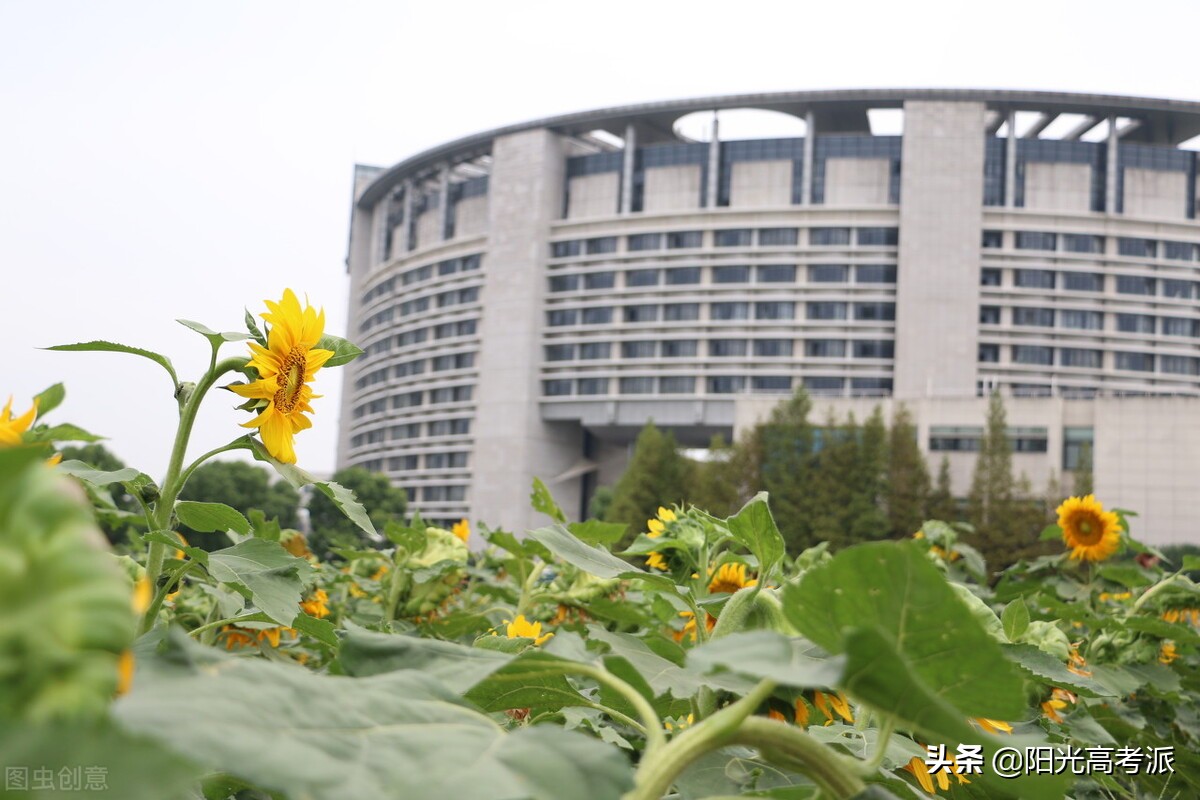 录取分数连续三年下降，这4所一本大学，可以捡漏