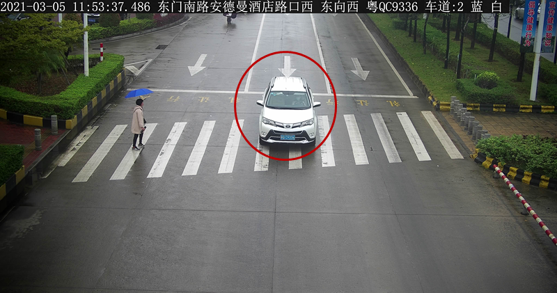 交通违法曝光！