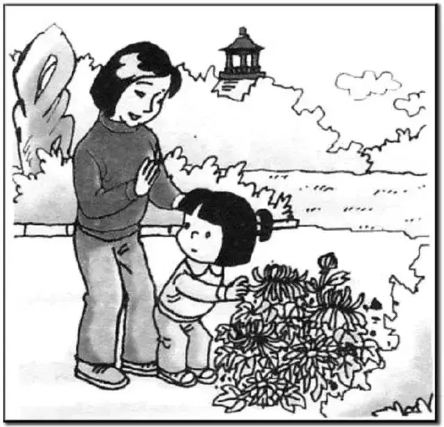 二年级看图写话38篇+范文,写话小达人,非你莫属