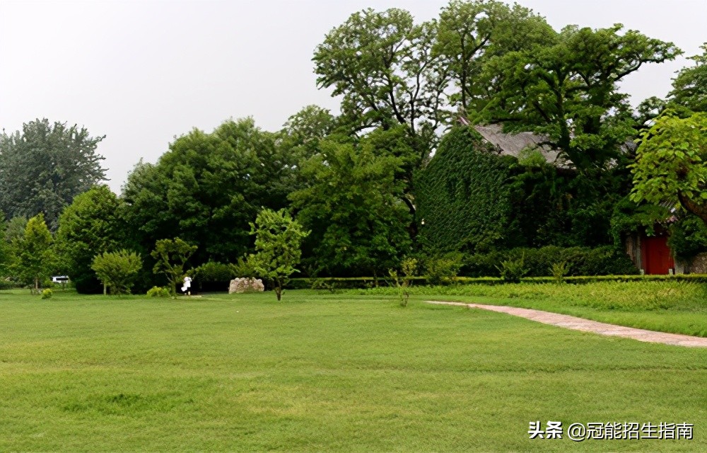 女生选择幼教专业怎么样-就业前景如何-成都哪些师范学校比较好