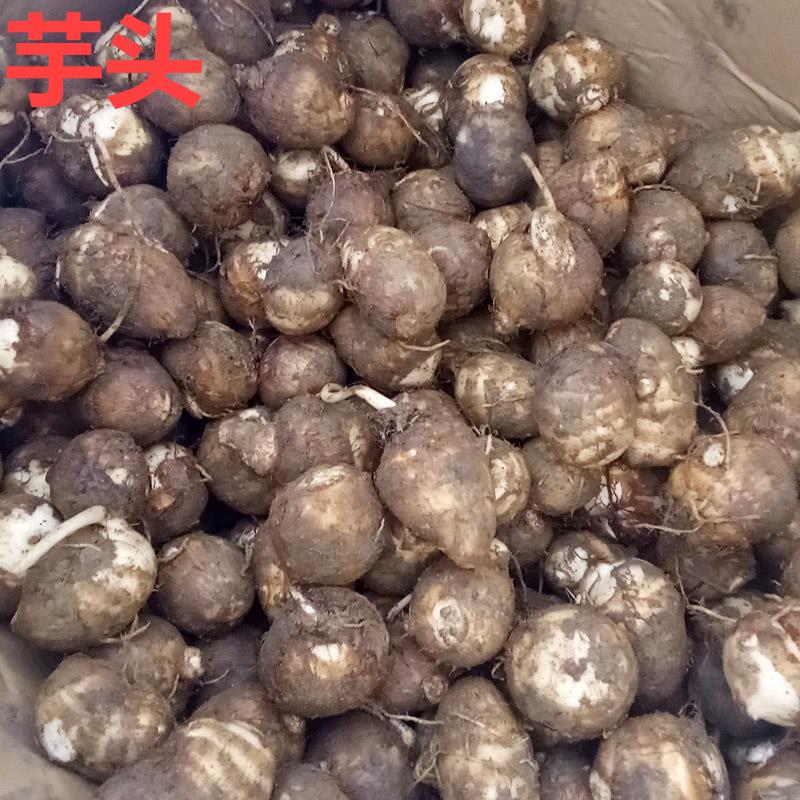 春天赏花,看见这20种,离得远点,因为有毒