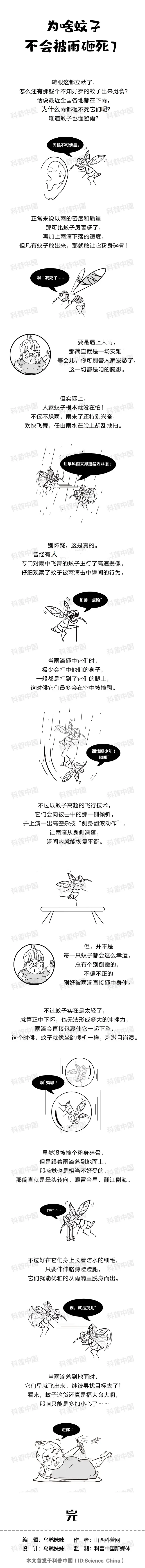 为什么下雨天蚊子不会被雨滴砸死（多年的疑问总算解开了）-第5张图片