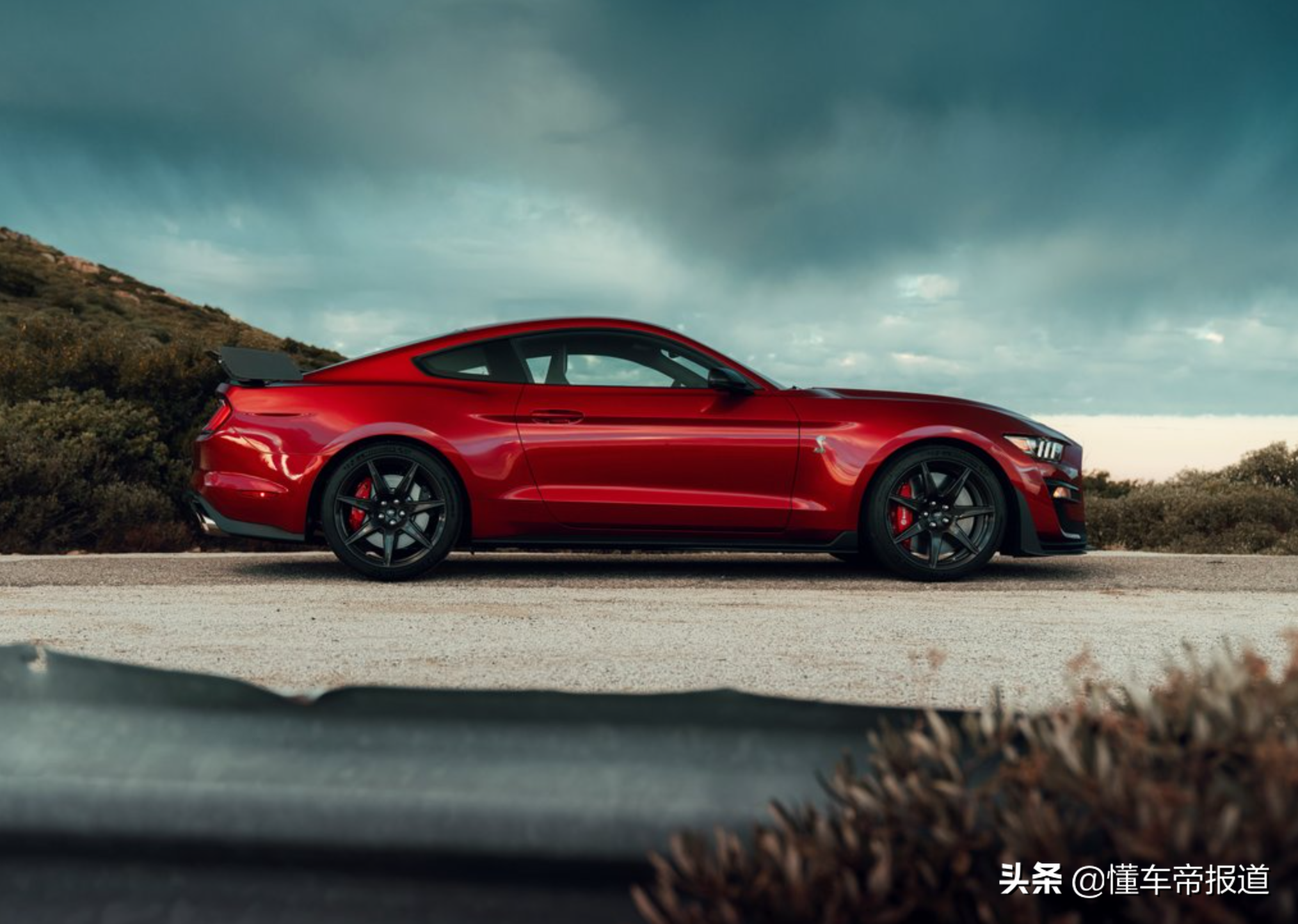 新车 | 史上最强野马？100万元起，福特Mustang Shelby GT500海外上市