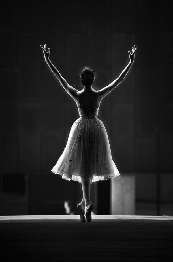 《斯坦福大学写作课》：新手写小说要注意些什么？