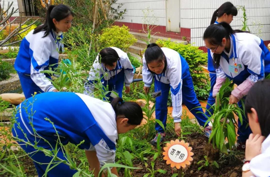 2020年广东最美的中职学校排名，你的学校可以C位出道吗？