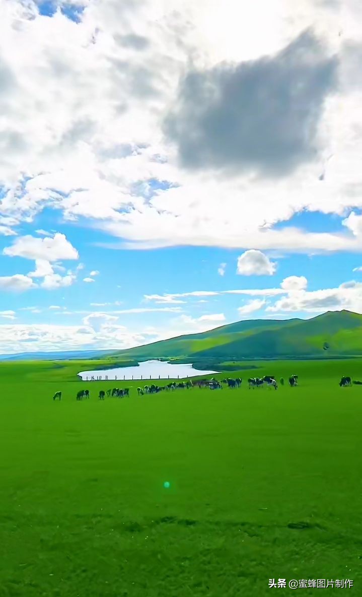 綠色護眼壁紙背景圖, 無論去哪沿途都是風景