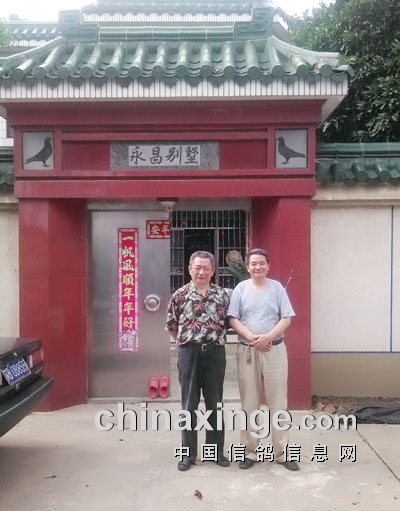 74岁飞公棚冠军 许永昌：我用的仍然是李鸟！