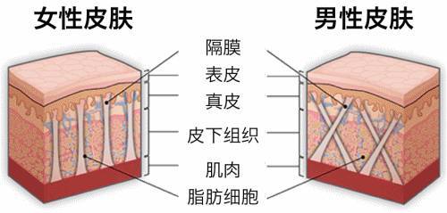 什么是橘皮组织 怎么去除橘皮组织呢