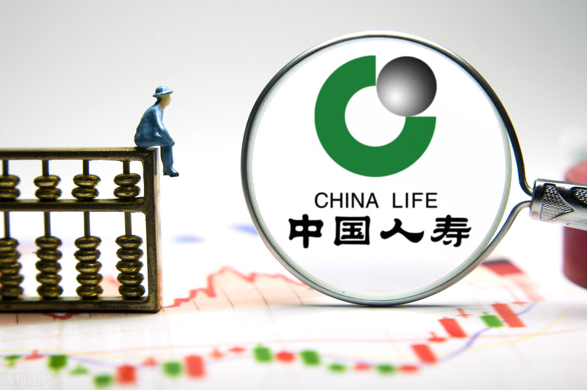 张家界一家六口起诉中国人寿索赔100万元：自己的车不算私家车？