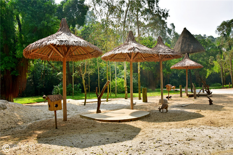 三天三夜欢乐长隆之旅（附攻略）