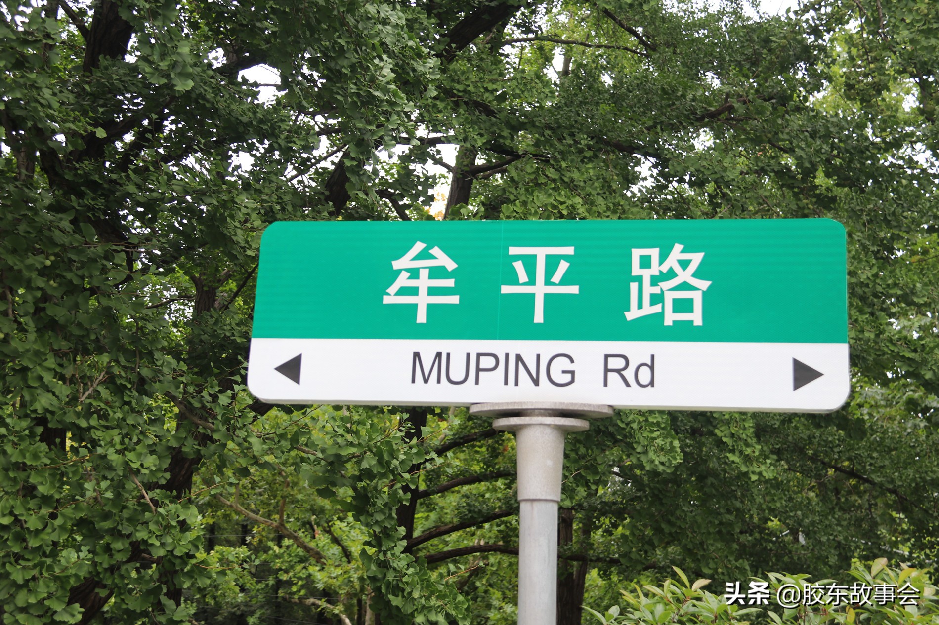 牟平的牟读作“mu”，为何牟氏庄园的牟读作“mou”? 第5张