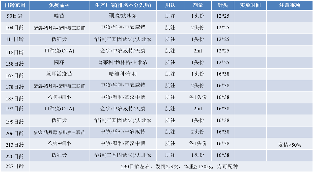 如何设计猪场免疫程序表？附免疫程序示范表，图文并茂干货满满