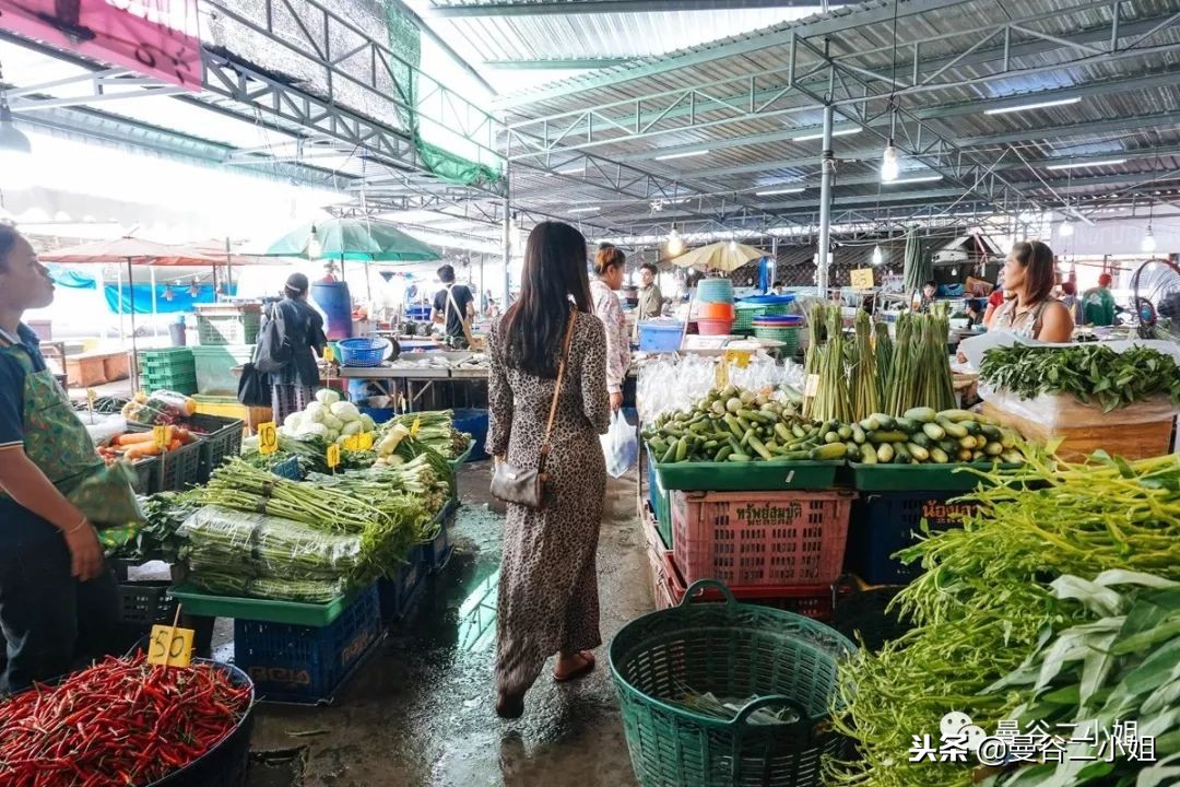 100块钱搞定一桌海鲜盛宴！BTS直达，清新小城北榄府海鲜市场