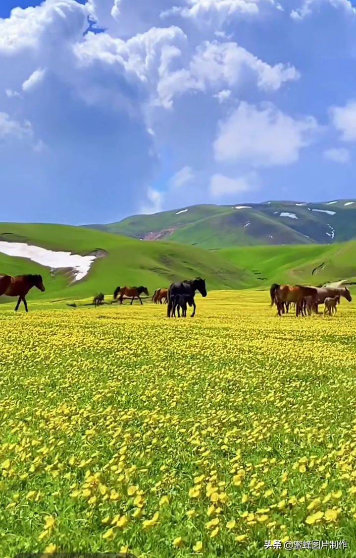 绿色护眼壁纸背景图 无论去哪沿途都是风景