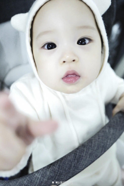 王智：7岁习武少林拳，和佟丽娅同班，中戏毕业后却跑去当了村官