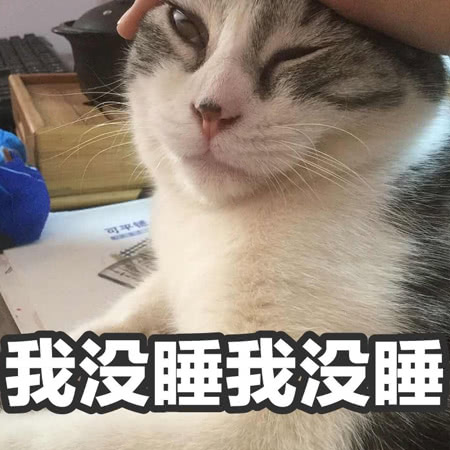 猫咪表情包：你的良心不会痛吗