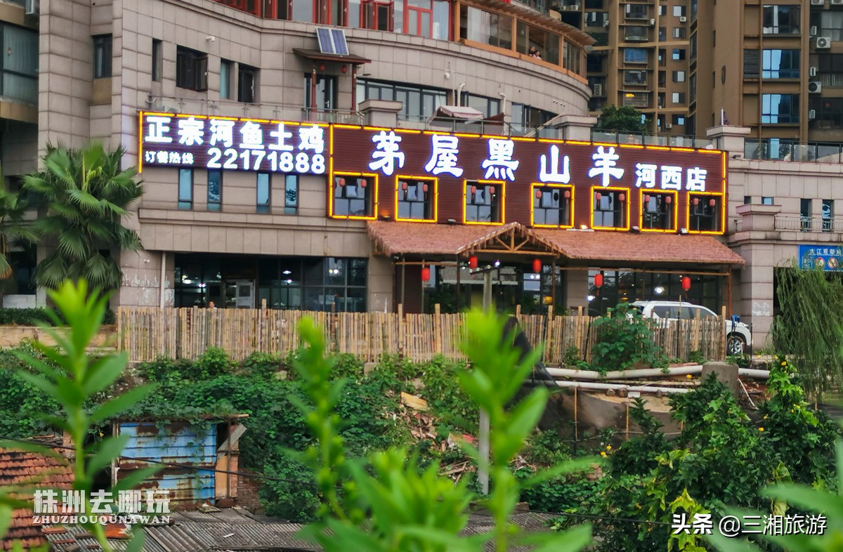 株洲十大特色饭店图片