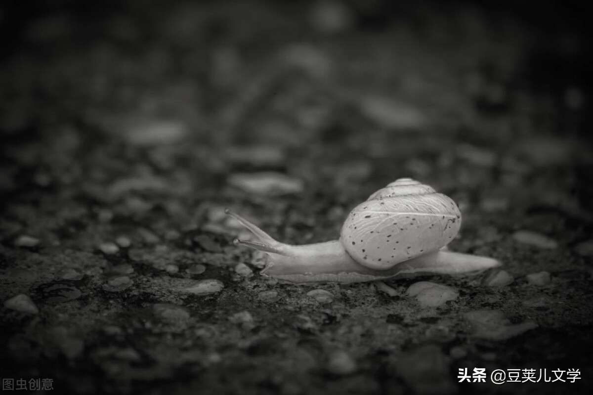 散文：我像只蜗牛一样走在路上