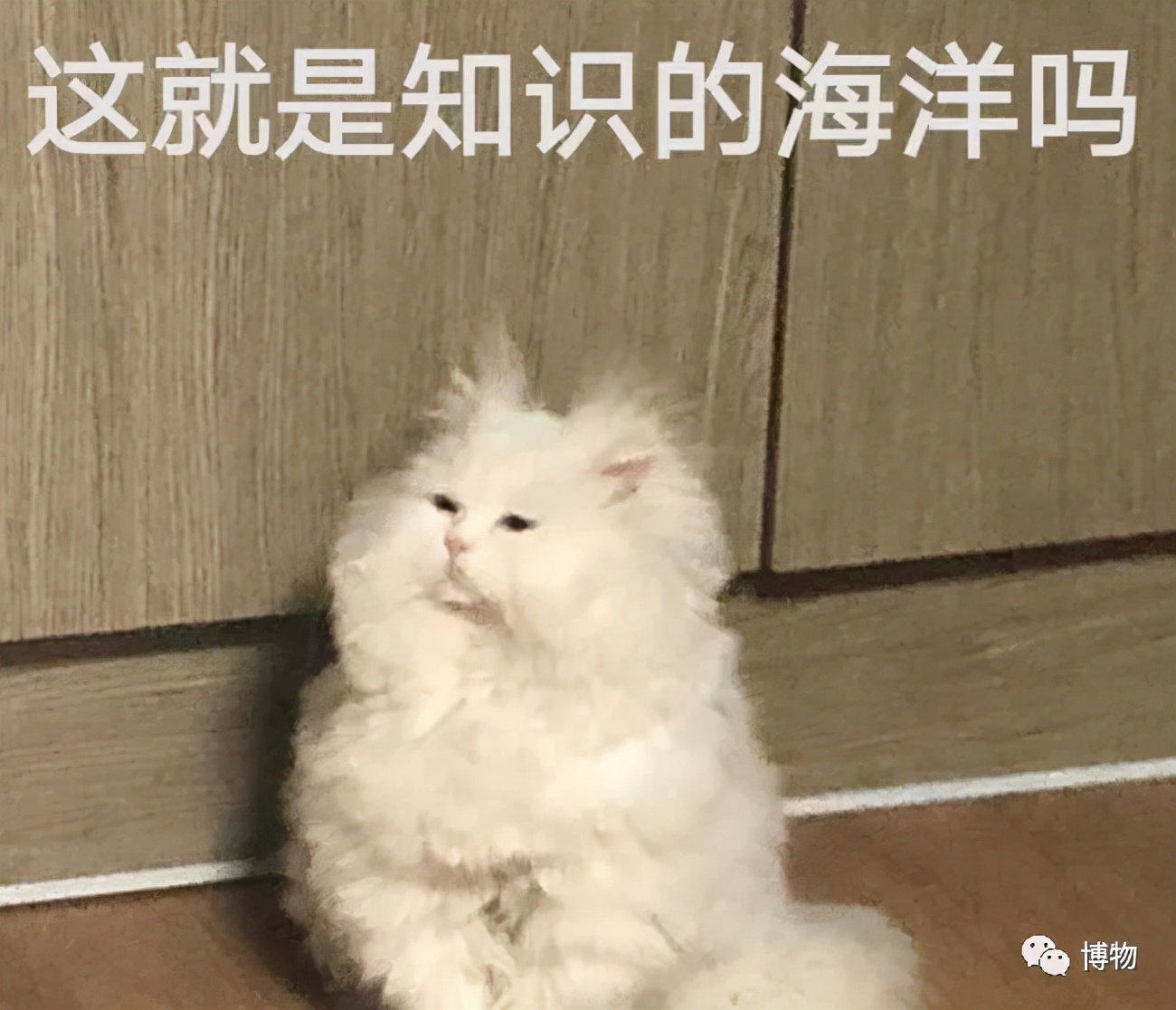 晋江文学城将开启分级制