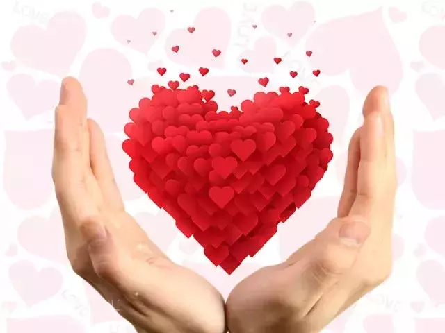 谁做的这本深圳通讯录，太牛了！有了它走遍深圳都不怕~收好不谢