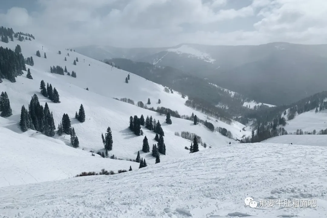 当大雪飞过那个小镇，我哪儿都不去 | 当我滑雪时我在想什么