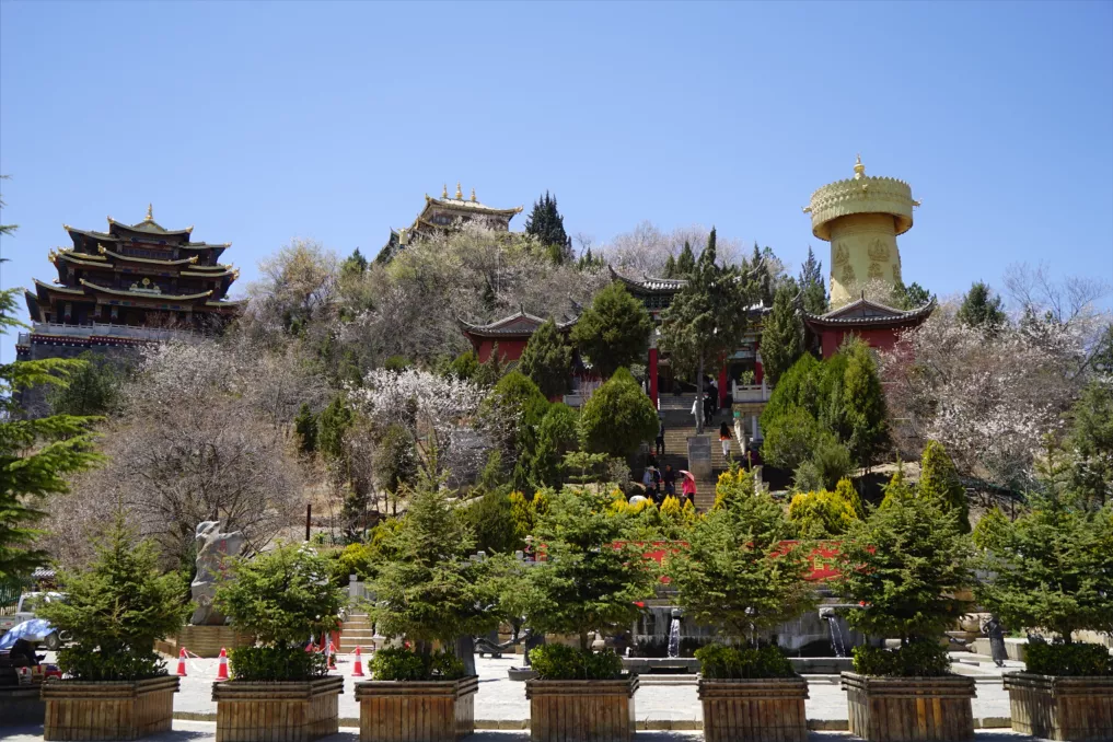 云南自驾游路线推荐(去云南香格里拉的超全超新旅行攻略推荐)(图13) 丽江去腻了还能去哪儿?香格里拉啊!这份最新攻略一定要看