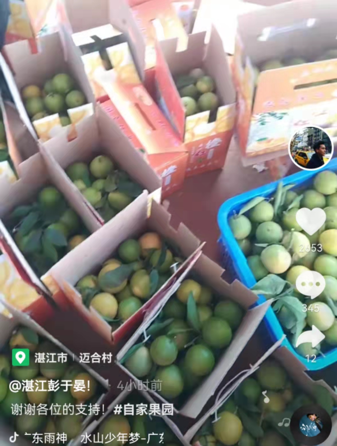 全红婵家果园生意火爆，网友赞不绝口，本尊也回应好吃