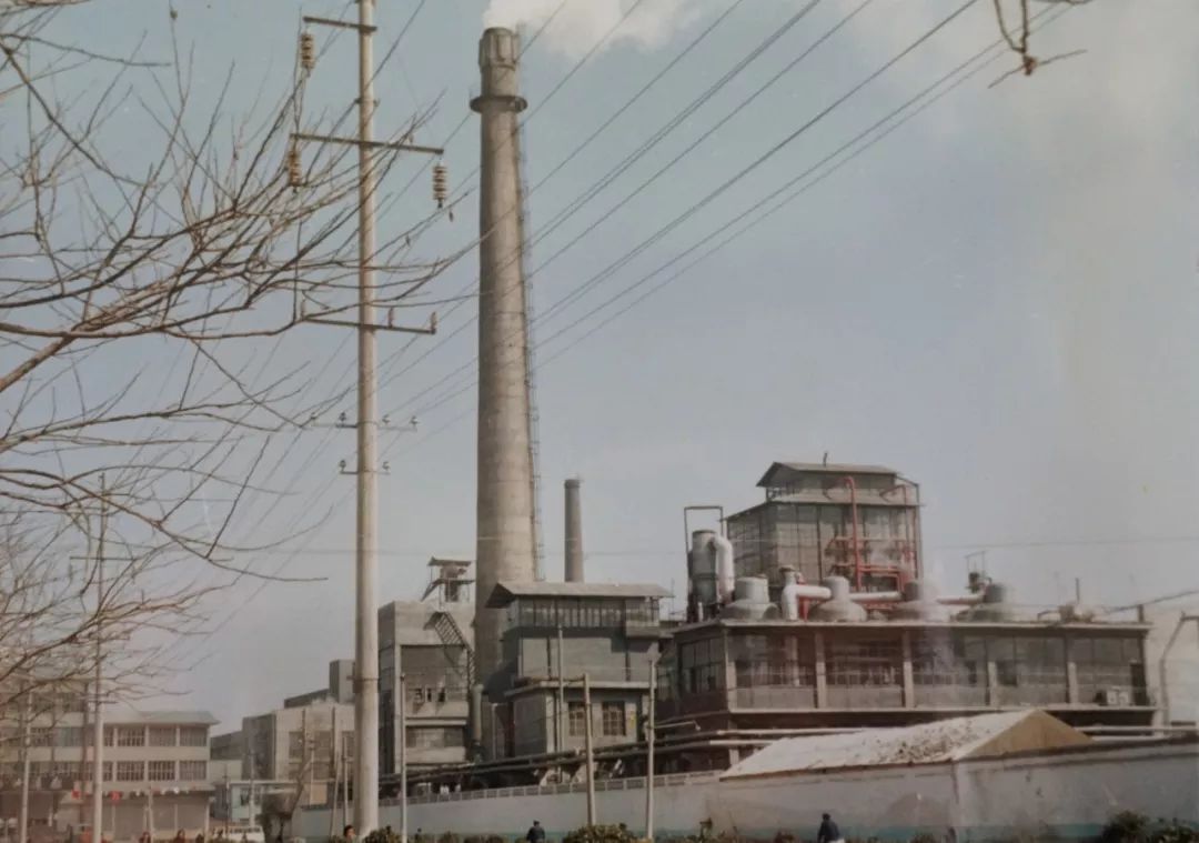 85年商县一起失踪案牵出陕西特大杀人案，夫妇两人3年谋杀48人