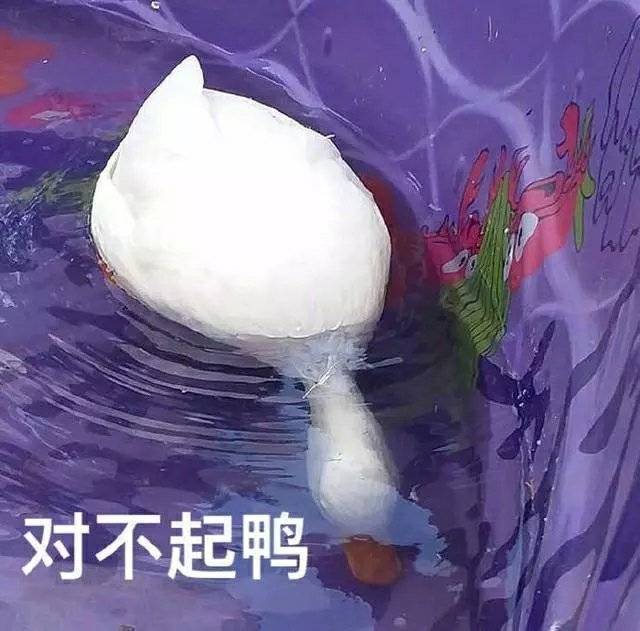 一组道歉专用的可爱表情包