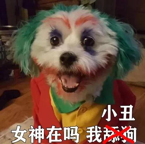 沙雕表情包第十七期（小丑篇）