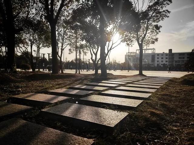 武昌理工学院究竟有多美？一组图告诉你什么才是湖景校园