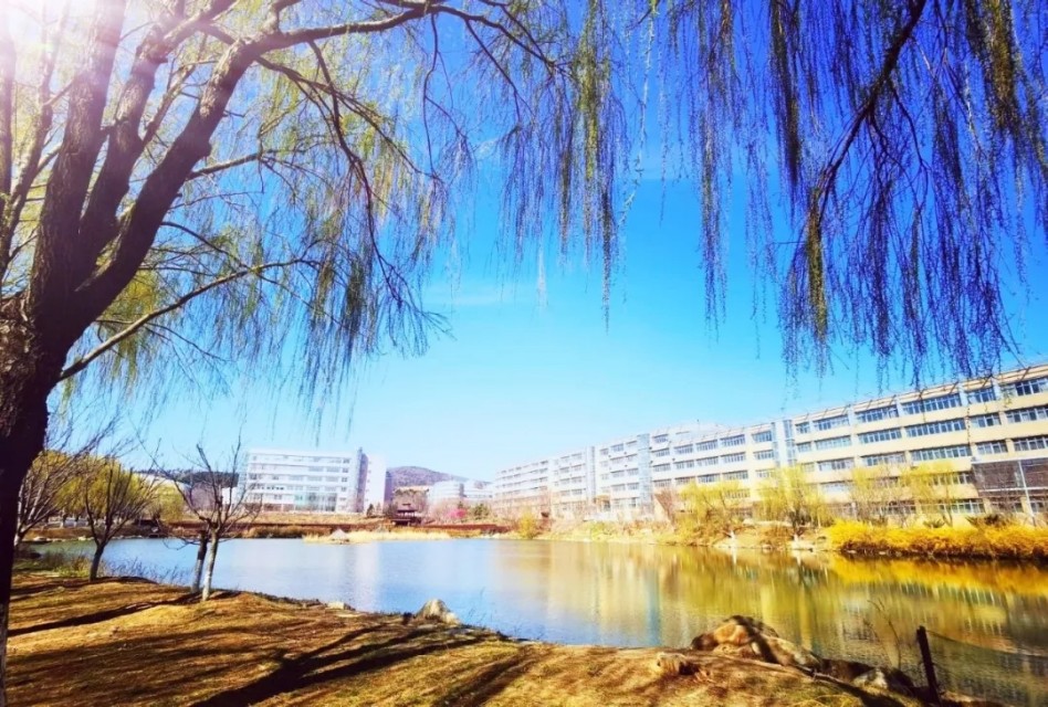 来大外！一起展望前方星辰大海！