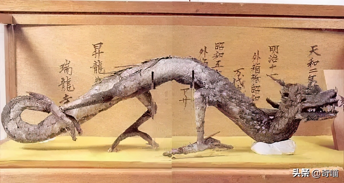营口坠龙事件，“真龙”降世还是乌龙事件？“龙”或许真实存在过
