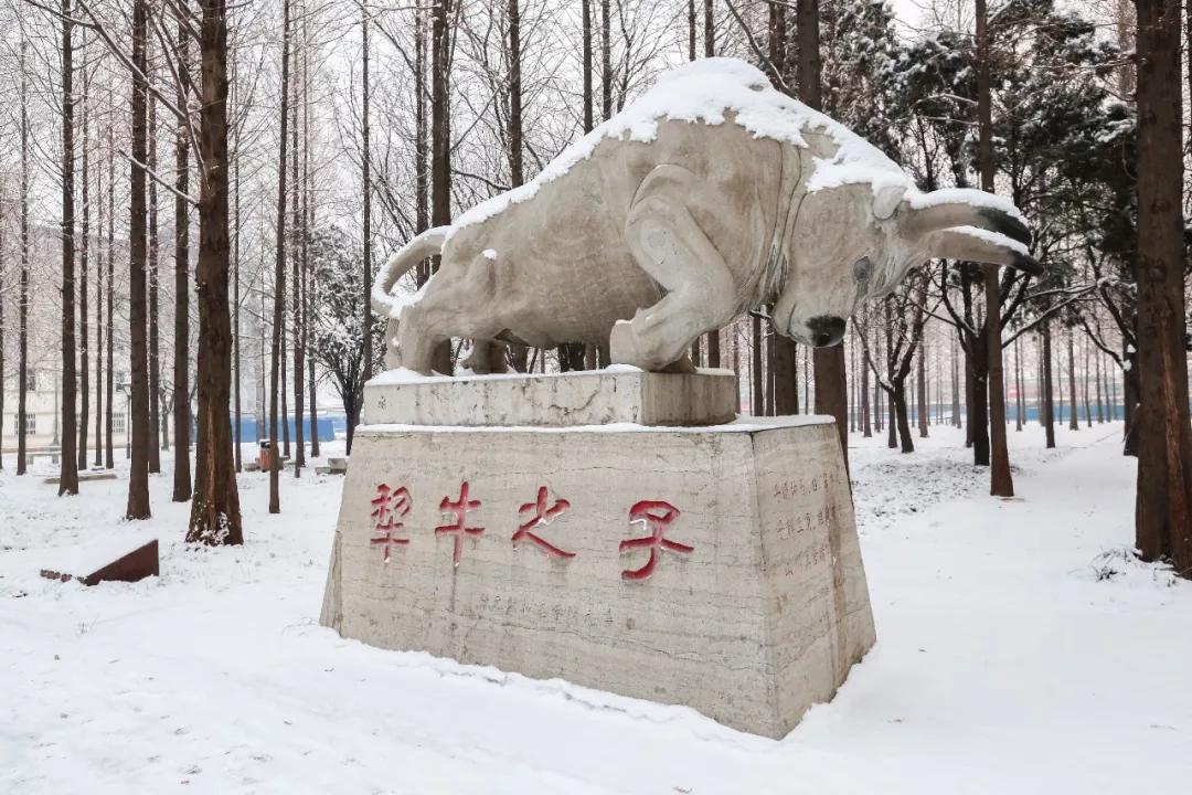 母校曲阜师范大学，“学而不厌，诲人不倦”的精神一直激励着我