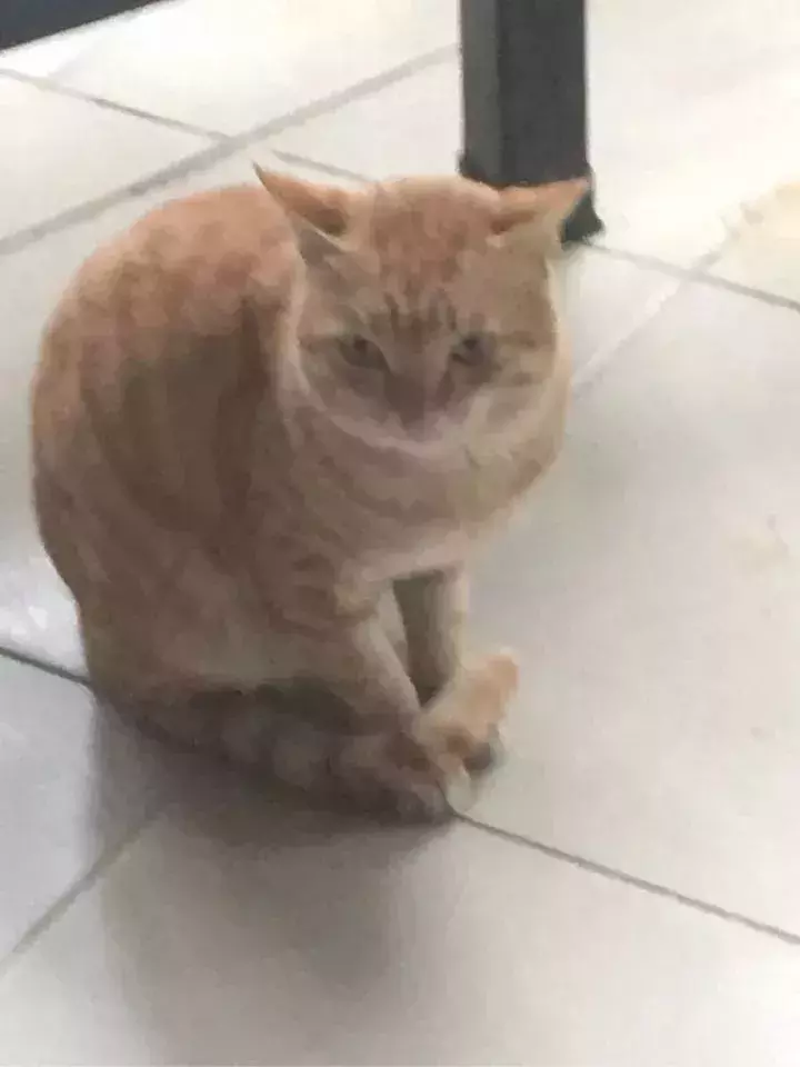 高考全省前50学霸：广州21席，深圳15席，珠海一中全省第一