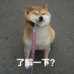 注意！陕西公布成考成绩及录取分数线！录取12月上旬进行