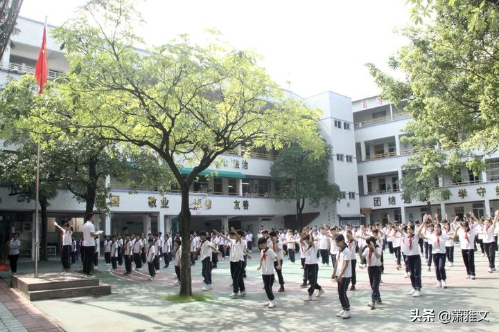 让每个学生都成为最好的自己“阳光”特色教育尽显风采