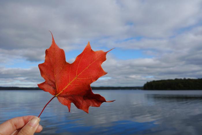 加拿大名校留学学分制知多少