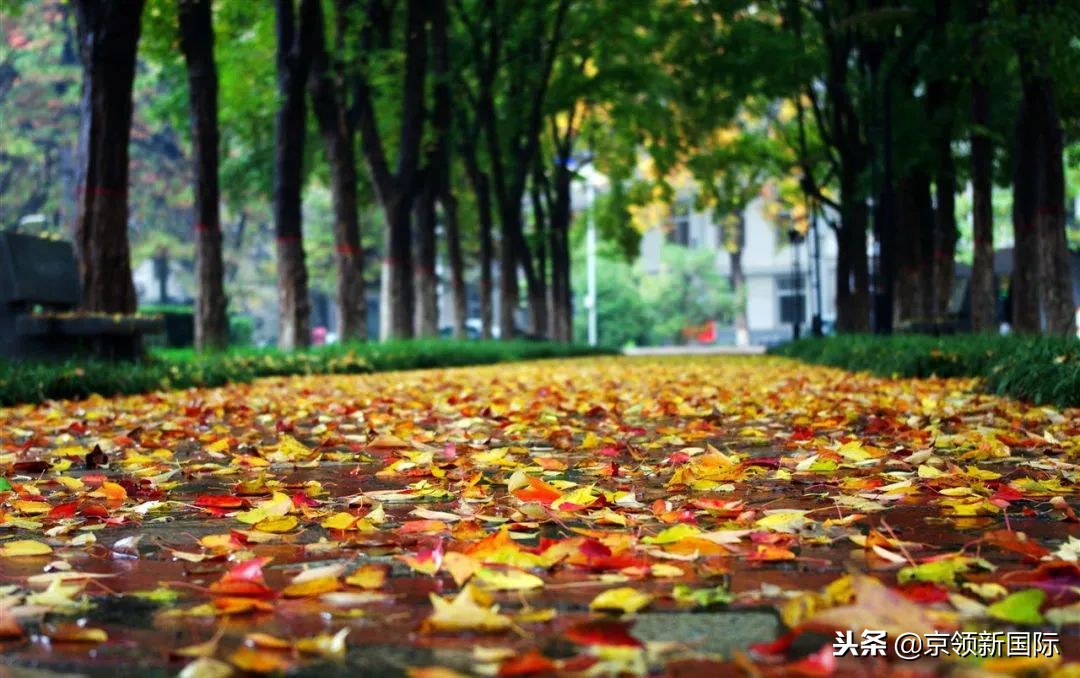 黄土高原走出来的葡萄酒专业，这所学校火的不只是小麦！