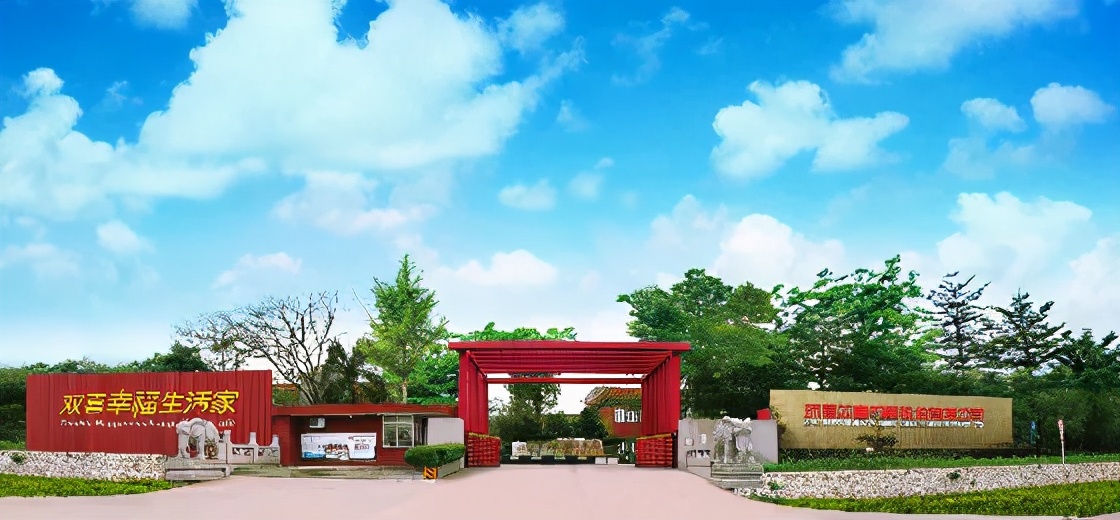 红双喜电压力锅是品牌吗（红双喜电器公司品牌解析）